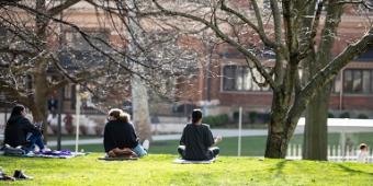 Students studying on campus lawn