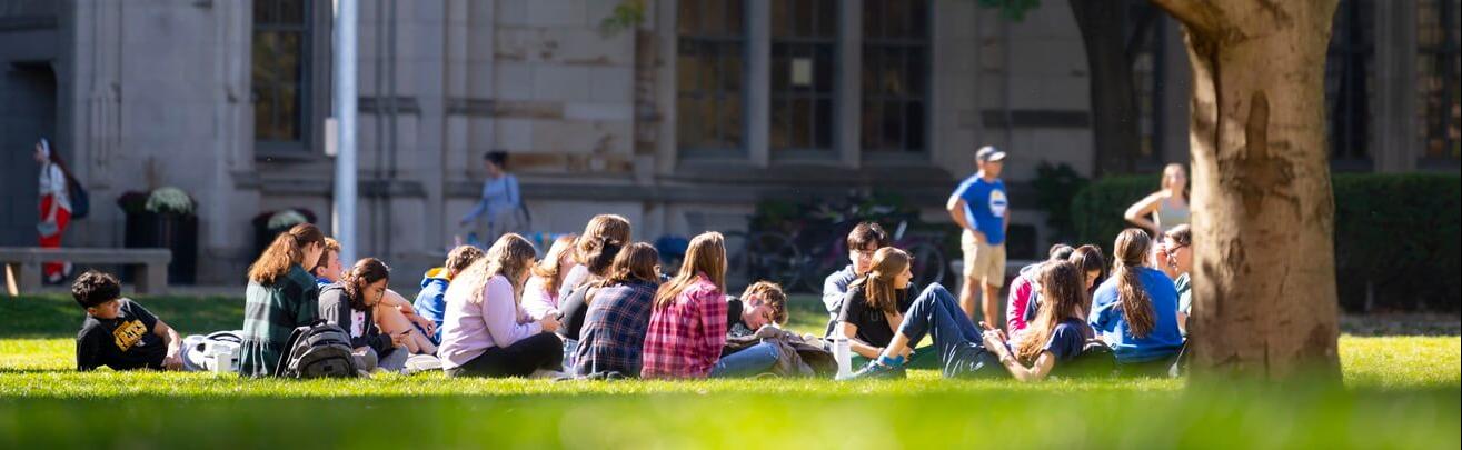 Student group sitting under a tree