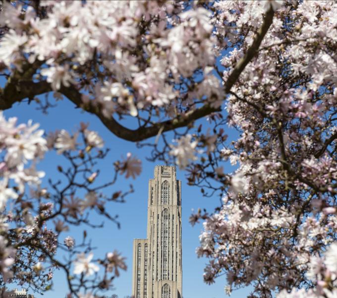 Cathedral of Learning