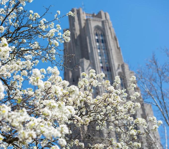 Poto of the Cathedral of Learning