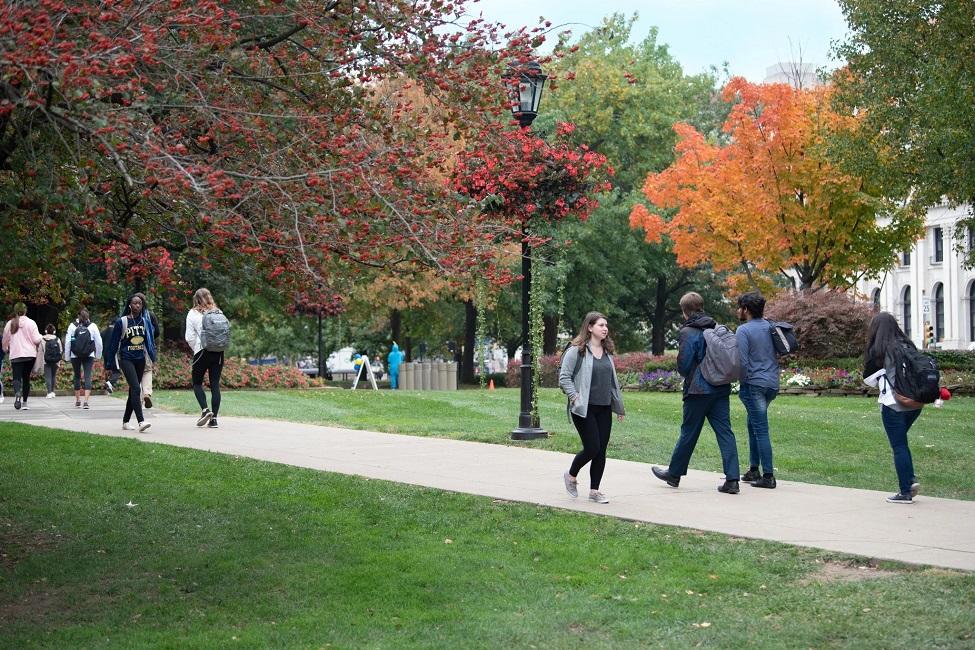 Students walking across campus